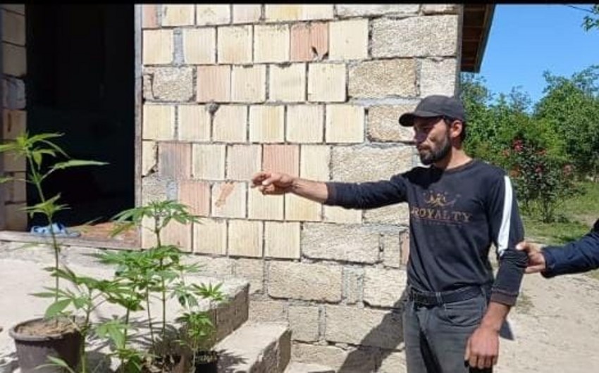 Şabranda narkotacir saxlanılıb