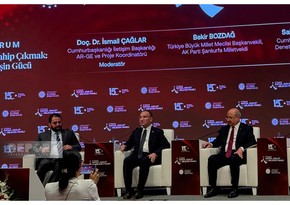 Ankarada “Demokratiyaya sahib çıxmaq: Mülki müqavimətin gücü” mövzusunda sessiya keçirilib