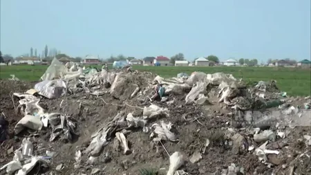 Biləsuvarda məişət tullantıları səbəbindən kəndi üfunət bürüyüb