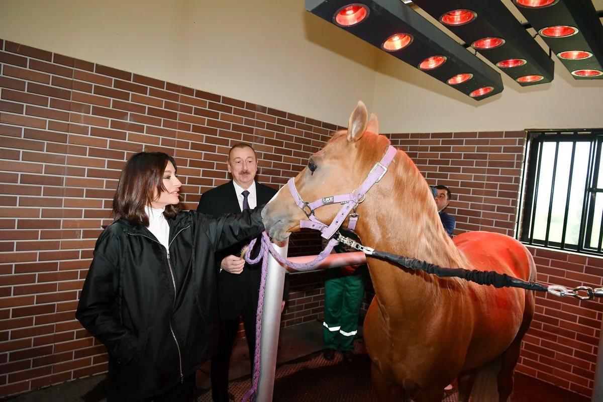 President Ilham Aliyev attends opening of Qarabag Equestrian Complex