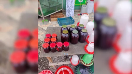 Bərdədə bazarda yoxlama keçirilib, inzibati protokol tərtib edilib