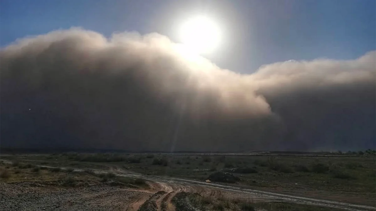 Sand and dust storm frequency increasing in many world regions, UN warns