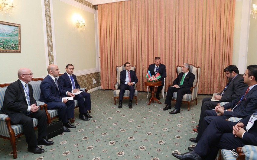 Novruz Məmmədov Düşənbədə Əfqanıstanın icra rəisi ilə görüşüb