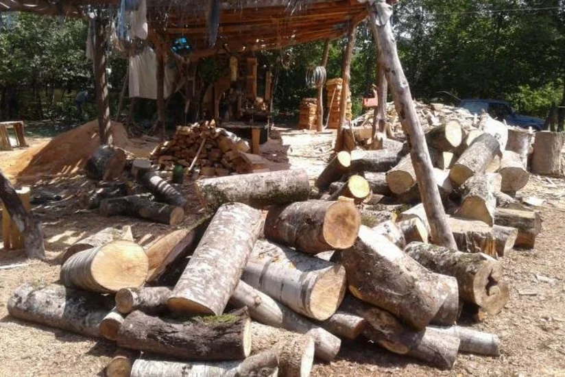 Masallıda qanunsuz yolla əldə olunan meşə materialı aşkarlanıb