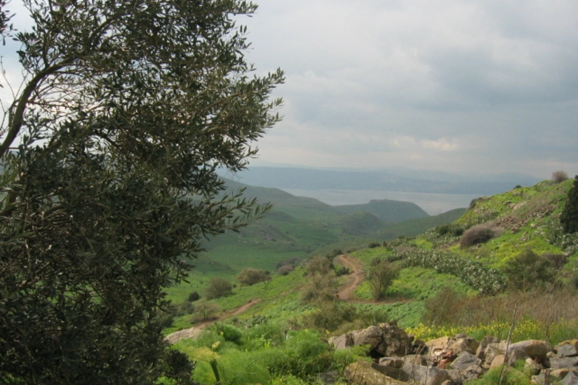 Qolan təpələri yaxınlığında uçan aparat düşüb