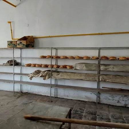 Qazaxda çörək istehsalı müəssisəsində nöqsanlar aşkarlanıb