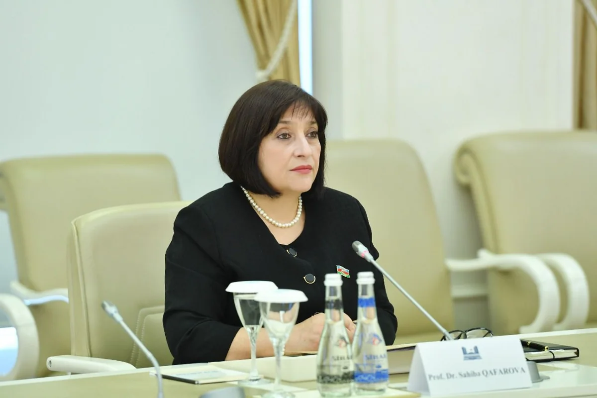 Milli Majlis Speaker: Armenia does not halt provocations