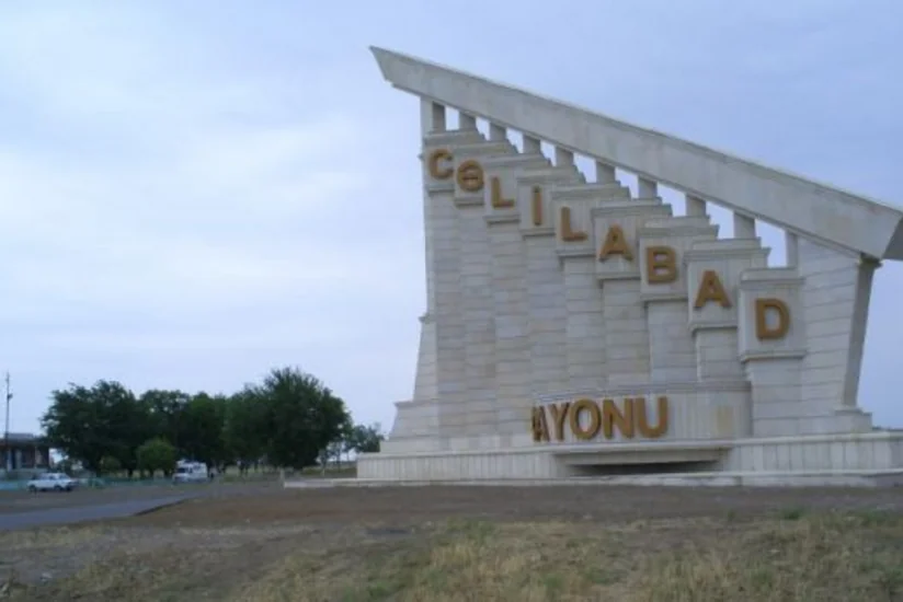 Cəlilabad Rayon İcra Hakimiyyəti başçısının birinci müavini işdən çıxarılıb - FOTO