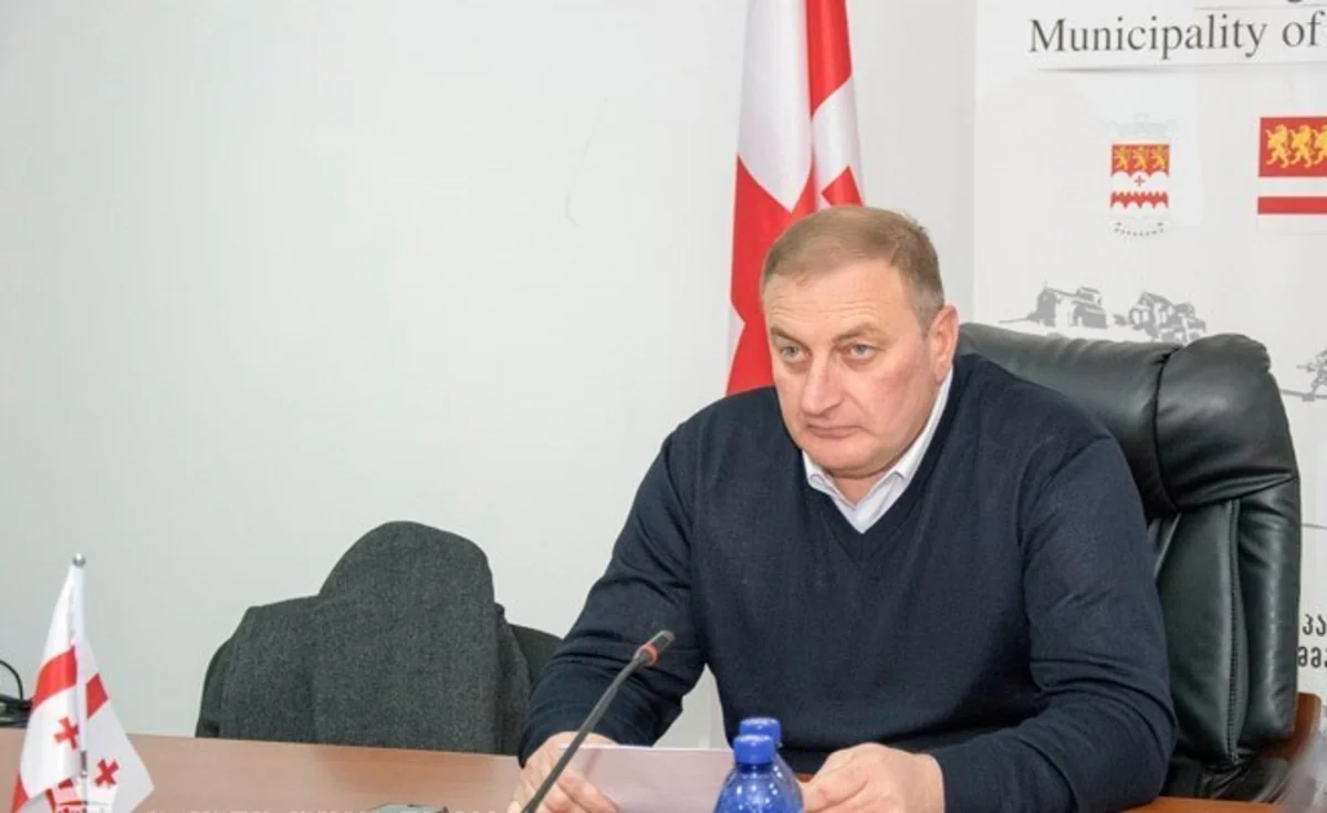Nəriman Nərimanovun Gürcüstandakı abidəsinin götürüləcəyi barədə məlumata aydınlıq gətirilib