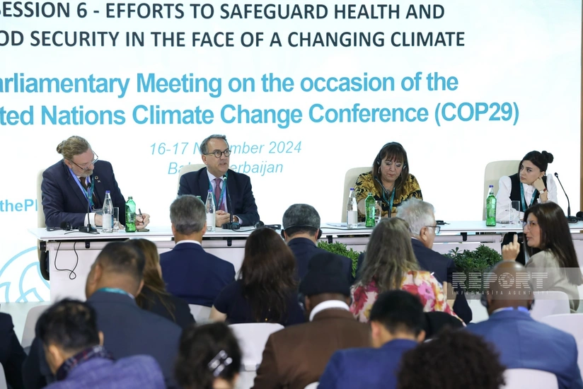 Parlament Görüşündə iqlim dəyişikliyinin sağlamlığa təsiri müzakirə edilib 