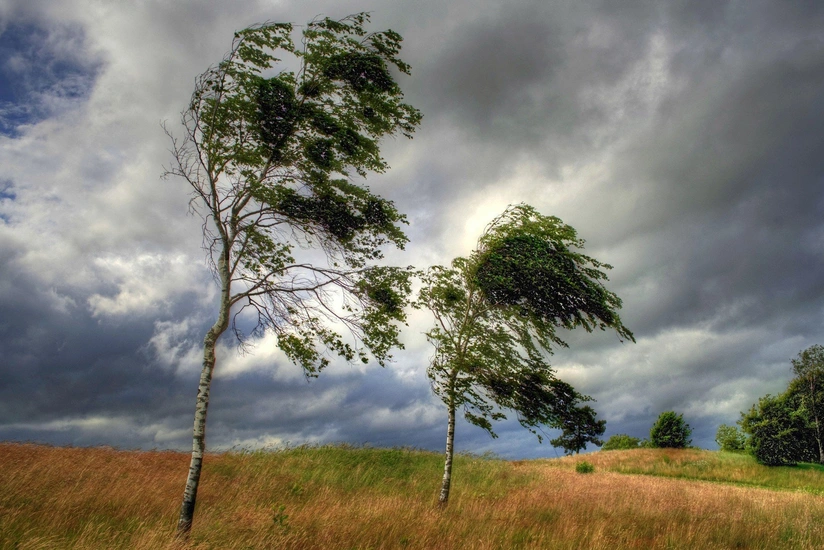 Strong wind, rain expected in Baku tomorrow