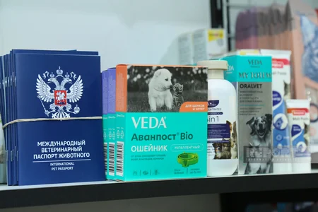 Zoomarketlərdə “qida tələsi” – ev heyvanlarının sağlamlığına kim cavabdehdir? - ARAŞDIRMA