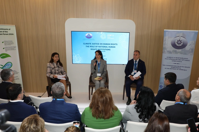 Омбудсмен призвала международные правозащитные организации к солидарности в борьбе с изменением климата