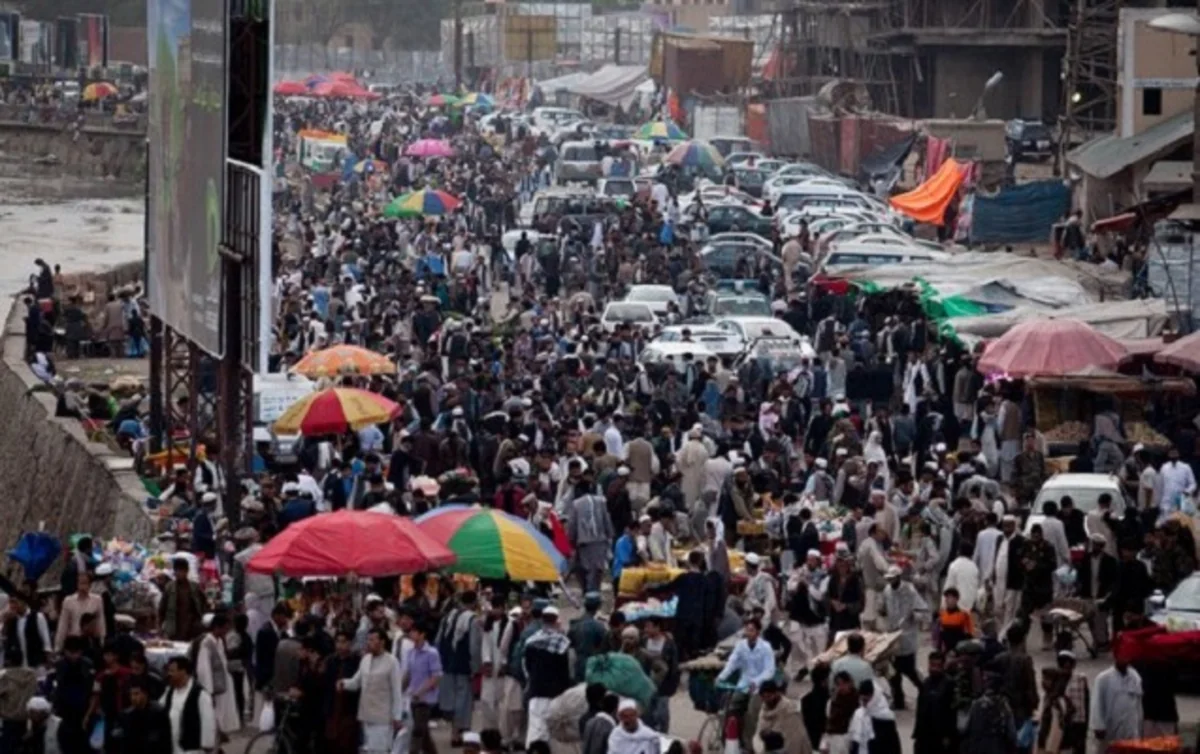 Pashto and Dari declared official languages in Afghanistan, say reports 