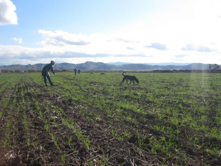 Cocuq Mərcanlıda 3 ədəd PHS aşkar edilib