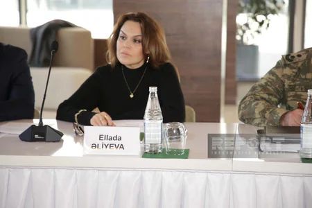 ANAMA: 2020-ci ildən indiyədək 282 şəxs minaya düşüb, 46 nəfər həlak olub, 236 nəfər yaralanıb