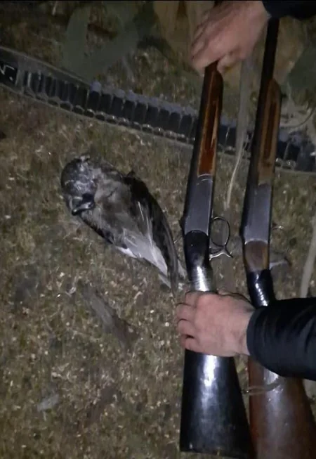 Qanunsuz ov edən şəxslər cəzalandırılıb