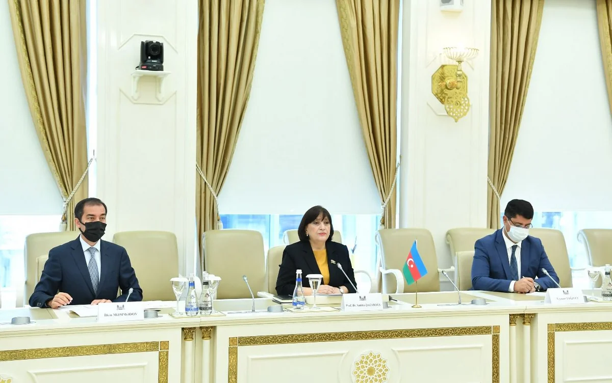 Sahibə Qafarova: Hazırda Azərbaycan azad edilmiş əraziləri bərpa edir, yenidən qurur