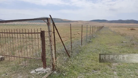 Oğuzun Padar kəndinin örüş torpaqları zəbt olunub
