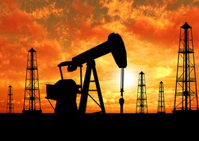 Глава МЭА допустил разблокирование стратегических запасов нефти при ЧС
