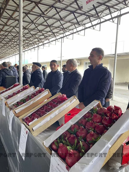 Kürdəmirdə Nar Sərgi-Satış Yarmarkası keçirilib