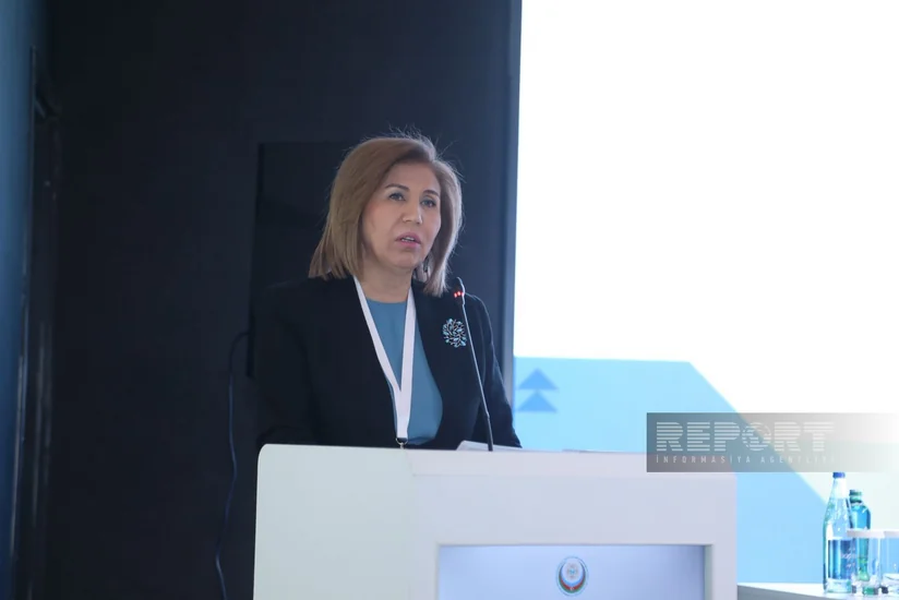 Komitə sədri: Azərbaycan ECO müstəvisində də qadınların dayanıqlı inkişafı üçün əməkdaşlığın tərəfdarıdır
