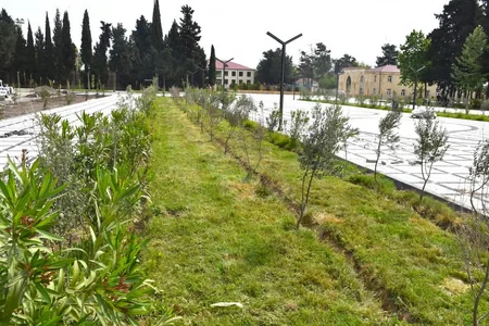 İmişlidə Heydər Əliyev adına istirahət parkında aparılan yenidənqurma işləri yekunlaşdırılıb