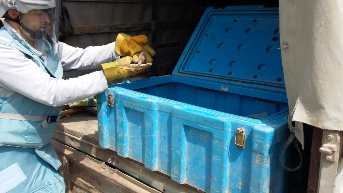 Ağcabədidə 2 zenit top mərmisi tapılıb