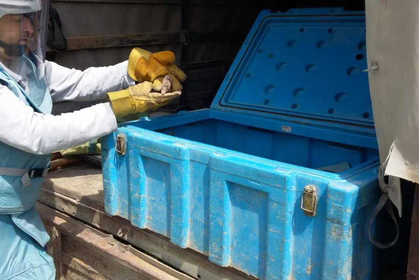 Ağcabədidə 2 zenit top mərmisi tapılıb