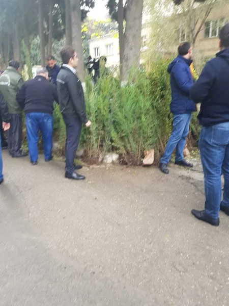 Bakıda yeni yaşıllıqların salınması məqsədilə vətəndaşlara pulsuz tinglər paylanılıb