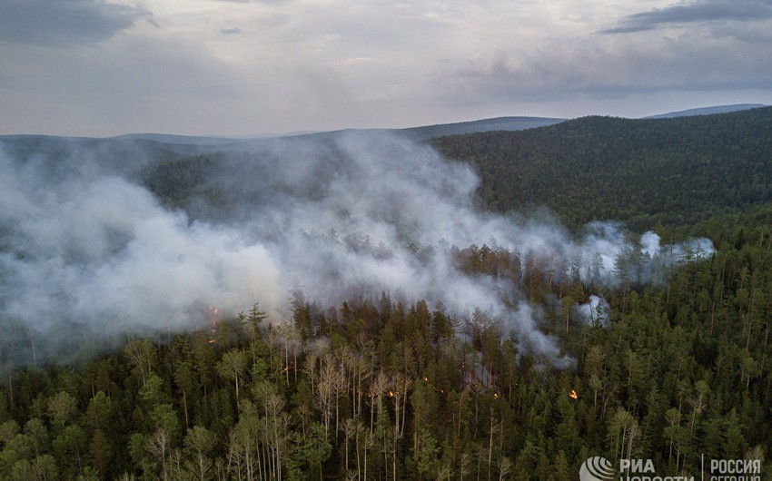 Forest fire extinguished in Lankaran