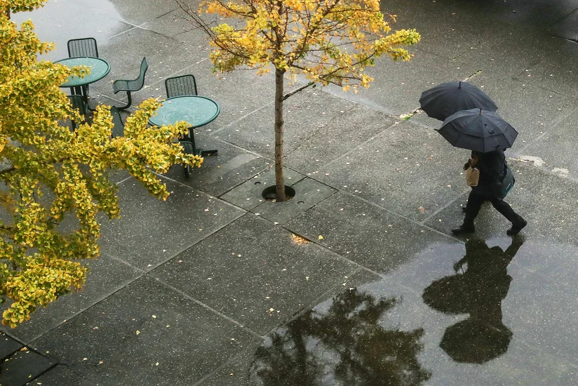 Weather forecast for tomorrow