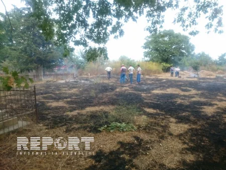 Qaxda kənd qəbiristanlığında yanğın baş verib - FOTO