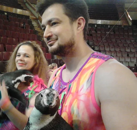 Bakı Dövlət Sirkində ilk dəfə olaraq pinqvinlər manejə çıxacaq - FOTO