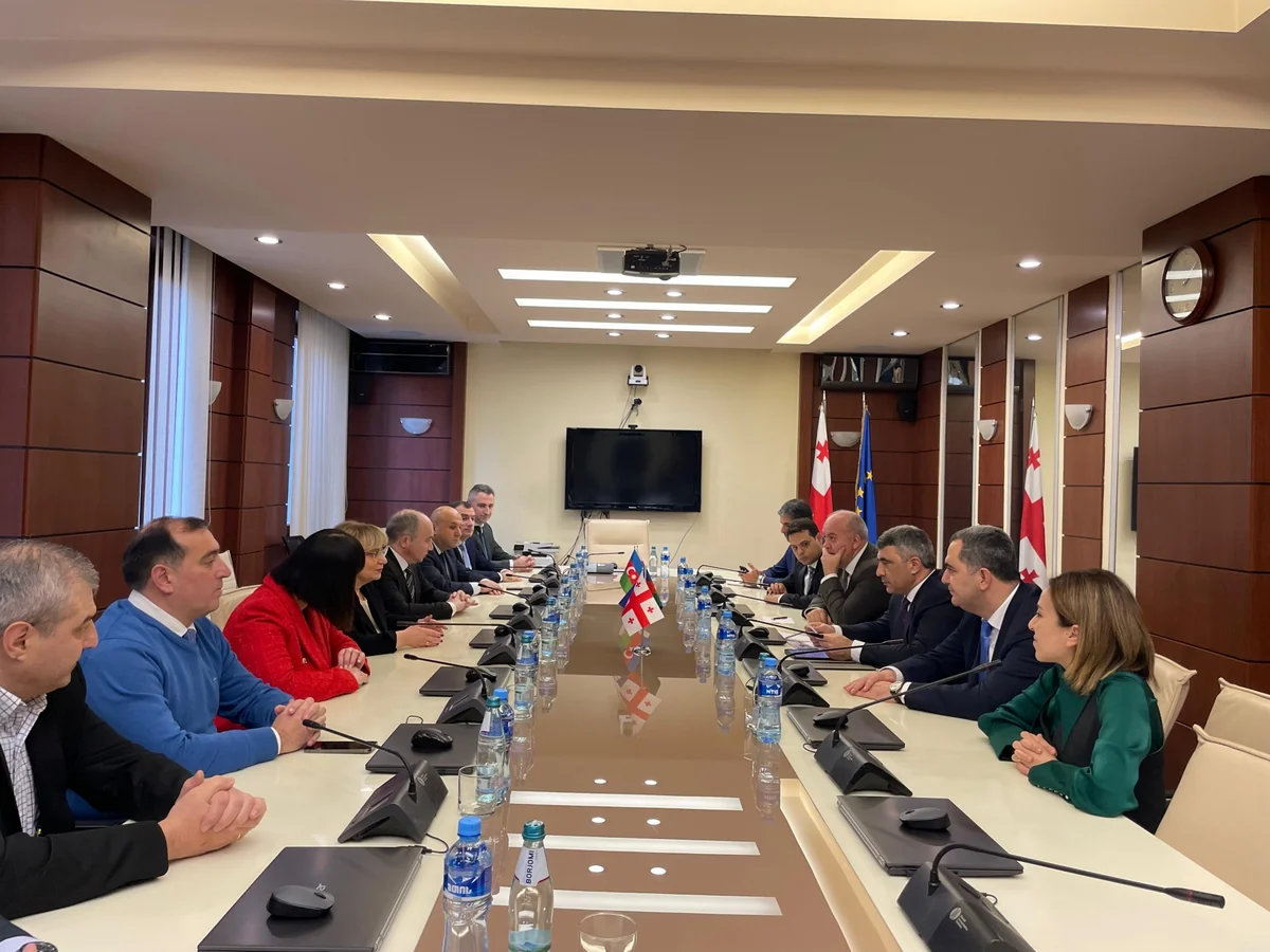 Azerbaijan and Georgia mull judicial and legal cooperation