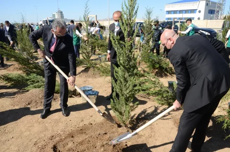 Bakıda Anım Gününə həsr edilən ağacəkmə aksiyası keçirilib