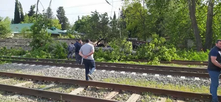 Tovuzda külək iri gövdəli ağacı dəmir yoluna aşırıb