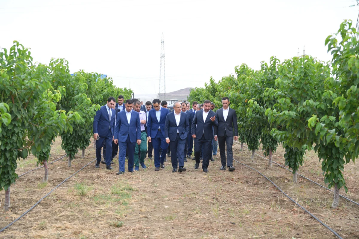 Mikayil Jabbarov views enterprises in Yevlakh Pilot Agropark