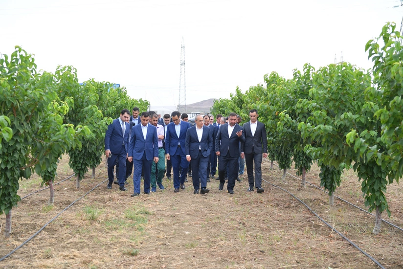 Mikayil Jabbarov views enterprises in Yevlakh Pilot Agropark
