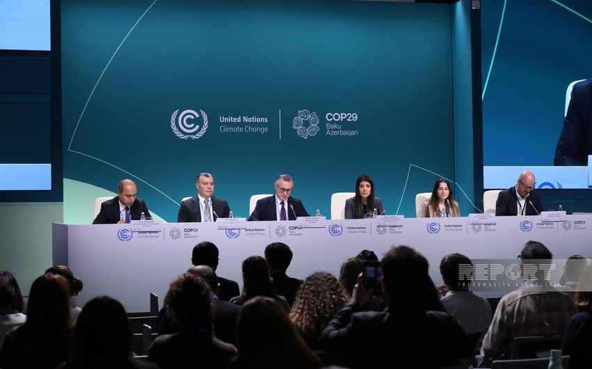 COP29-da İqlim və sağlamlıq üzrə Həmsədrlər Koalisiyası yaradıla bilər