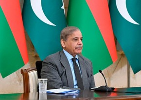 Shehbaz Sharif: Pakistan is vulnerable to climate change