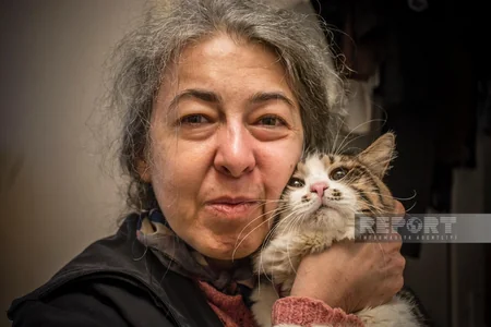 İnfarktdan ölən pişik, özünü heyvanlara həsr edən qadın - İçərişəhərdə 100-ə yaxın pişik saxlanılan evdən REPORTAJ - VİDEO