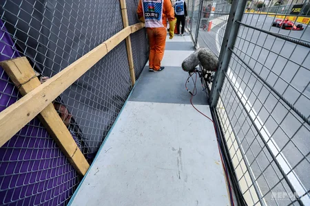 Formula 1 Azərbaycan Qran-Prisinin final mərhələsi maraqlı anlarla yadda qalıb - FOTOREPORTAJ
