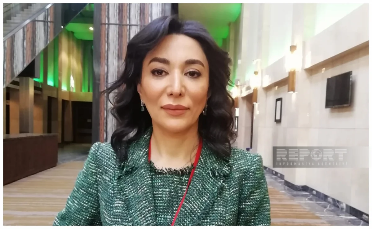 Sabina Aliyeva: Azerbaijan's appeals to international institutions regarding war crimes of Armenia continue