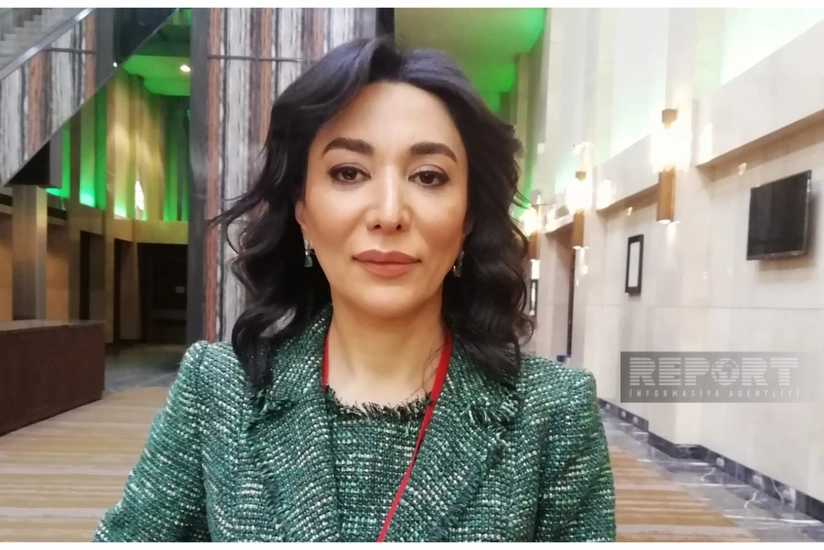 Sabina Aliyeva: Azerbaijan's appeals to international institutions regarding war crimes of Armenia continue