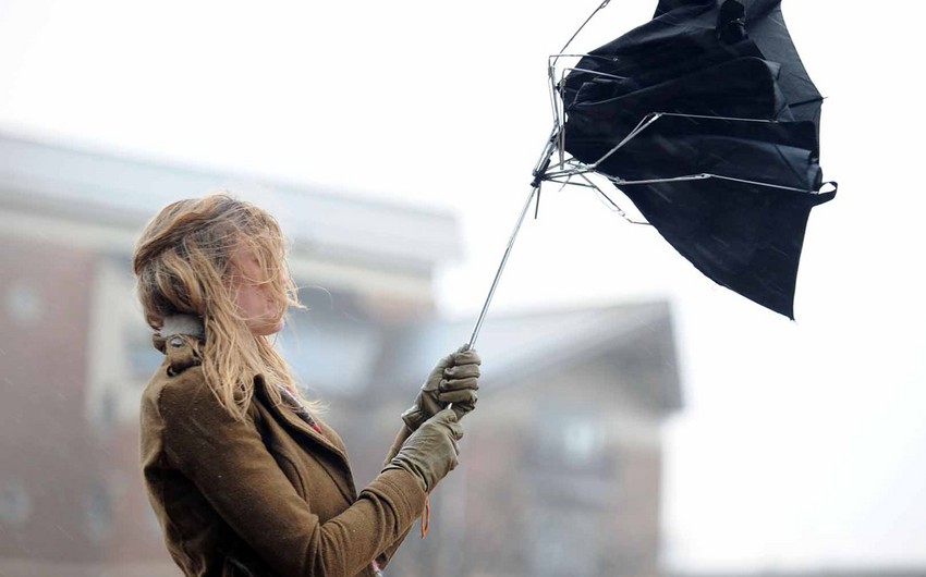 Strong wind forecasted tomorrow