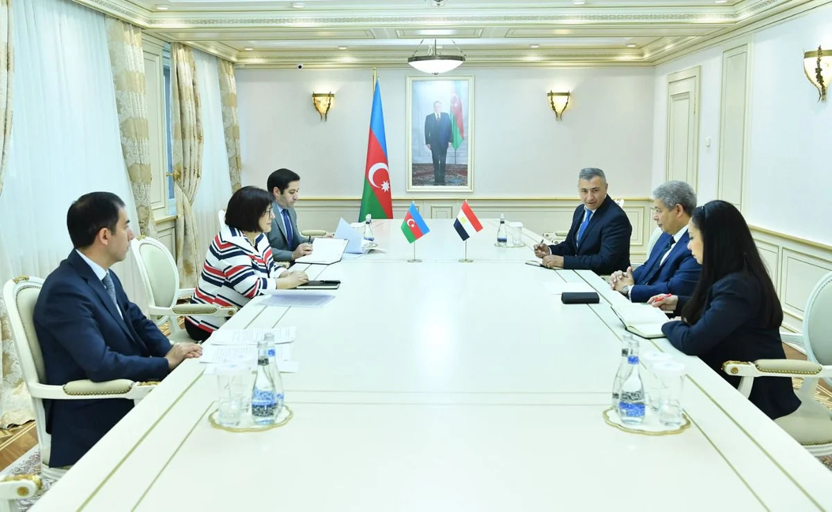 Sahibə Qafarova Misirin Azərbaycandakı səfiri ilə görüşüb