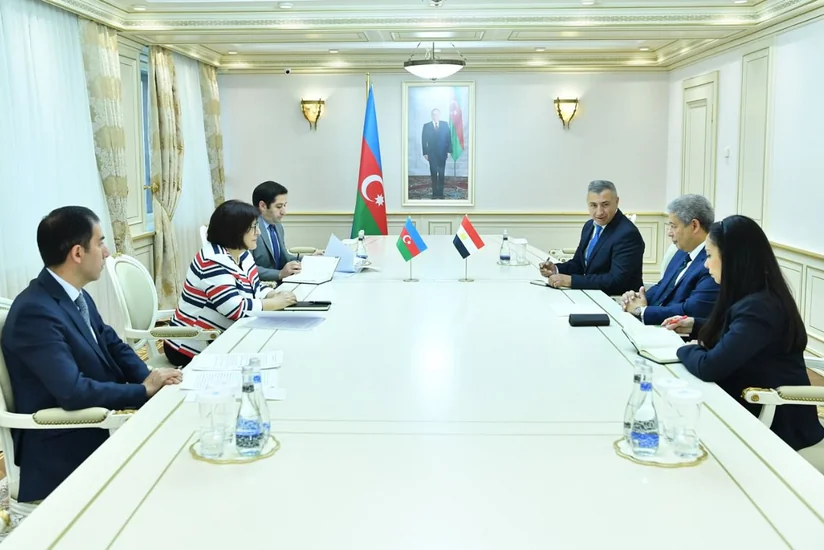 Sahibə Qafarova Misirin Azərbaycandakı səfiri ilə görüşüb