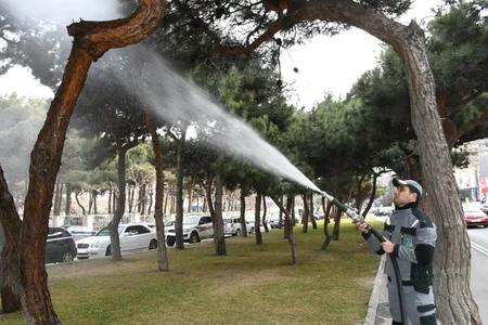 Bu gün Bakının 370 küçəsi yuyulub