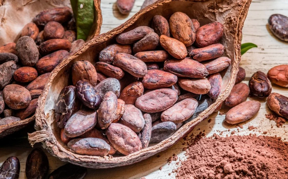 Cocoa bean prices record high at ICE — market data